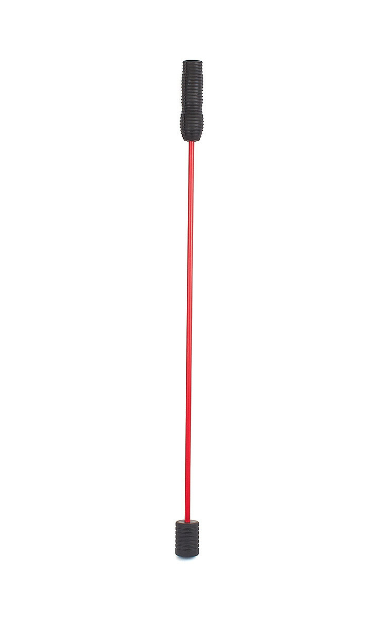 The FlexMotion Pro - The FM Pro